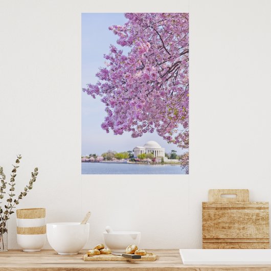 VS, Washington DC, Cherry tree in bloom Poster (Keuken)