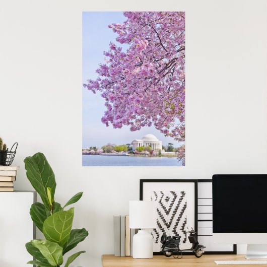 VS, Washington DC, Cherry tree in bloom Poster (Thuiskantoor)