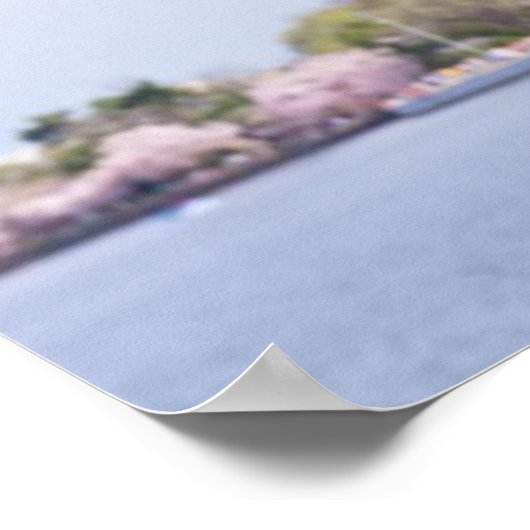 VS, Washington DC, Cherry tree in bloom Poster (Hoek)