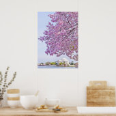 VS, Washington DC, Cherry tree in bloom Poster (Keuken)