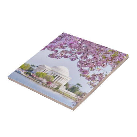 VS, Washington DC, Cherry tree in bloom Tegeltje (Zijkant)