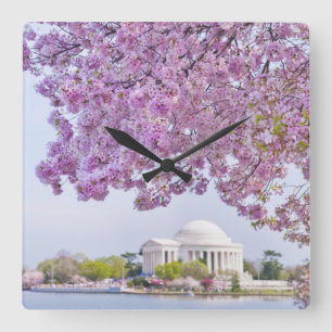 VS, Washington DC, Cherry tree in bloom Vierkante Klok