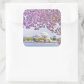 VS, Washington DC, Cherry tree in bloom Vierkante Sticker (Tas)