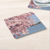 VS, Washington DC, Cherry tree Kartonnen Onderzetters (Schuin)