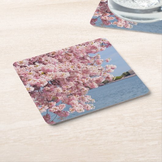 VS, Washington DC, Cherry tree Kartonnen Onderzetters (Schuin)