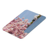 VS, Washington DC, Cherry tree Magneet (Linkerzijde)