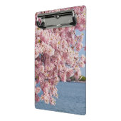 VS, Washington DC, Cherry tree Mini Klembord (Angled2)