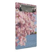 VS, Washington DC, Cherry tree Mini Klembord (Schuin)