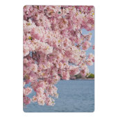VS, Washington DC, Cherry tree Mini Klembord (Achterkant)