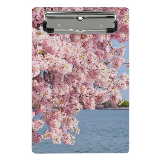VS, Washington DC, Cherry tree Mini Klembord (Voorkant)