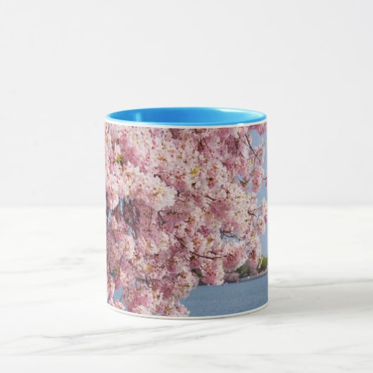 VS, Washington DC, Cherry tree Mok (Midden)