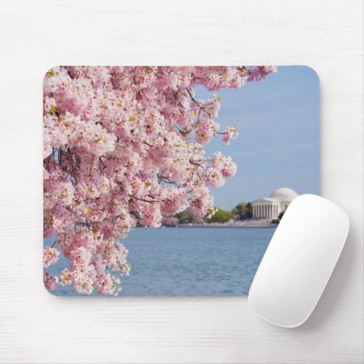 VS, Washington DC, Cherry tree Muismat (Met muis)