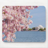 VS, Washington DC, Cherry tree Muismat (Voorkant)