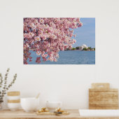 VS, Washington DC, Cherry tree Poster (Keuken)