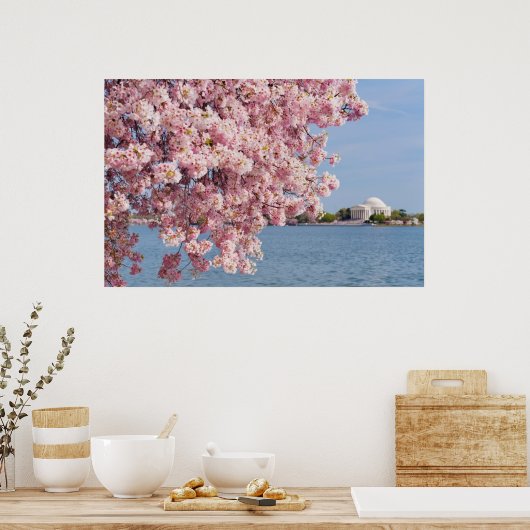 VS, Washington DC, Cherry tree Poster (Keuken)