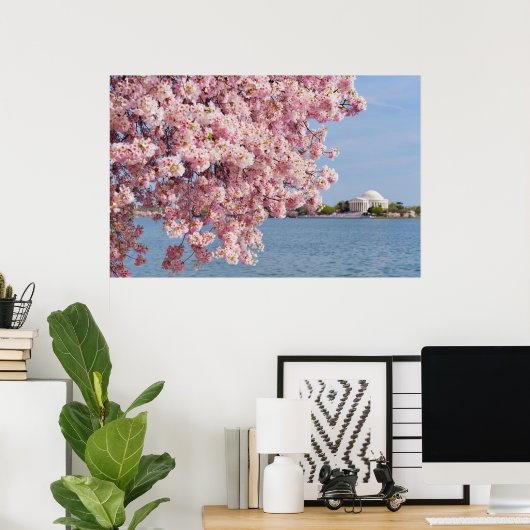 VS, Washington DC, Cherry tree Poster (Thuiskantoor)
