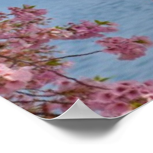 VS, Washington DC, Cherry tree Poster (Hoek)
