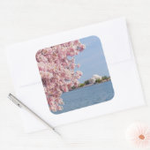 VS, Washington DC, Cherry tree Vierkante Sticker (Envelop)