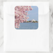 VS, Washington DC, Cherry tree Vierkante Sticker (Tas)