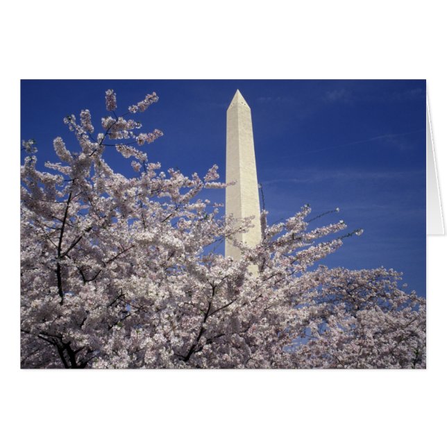 VS, Washington DC. Kersenbloesemfeest en (Voorkant Horizontaal)