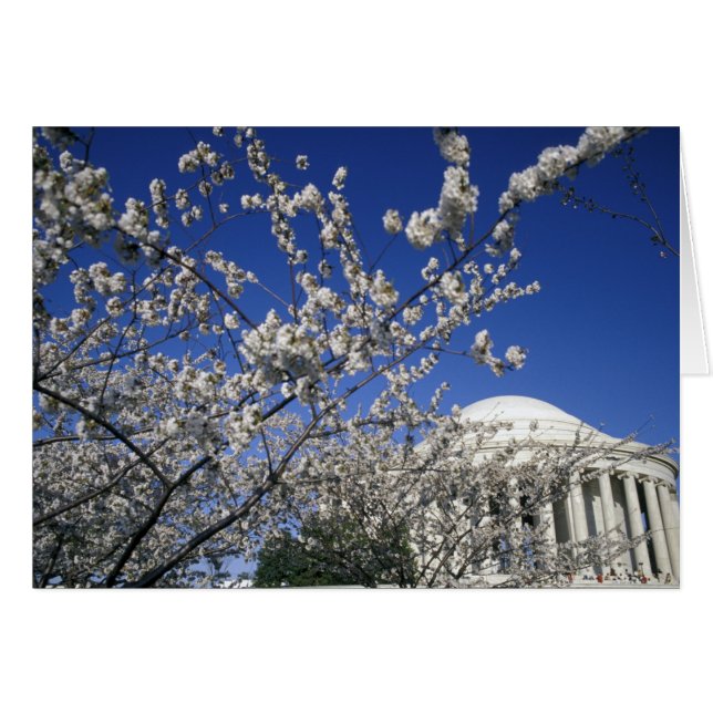 VS, Washington DC. Kersenbloesemfeest en 2 (Voorkant Horizontaal)
