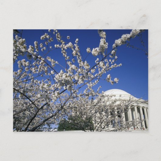 VS, Washington DC. Kersenbloesemfeest en 2 Briefkaart (Voorkant)