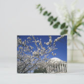 VS, Washington DC. Kersenbloesemfeest en 2 Briefkaart (Staand voorkant)