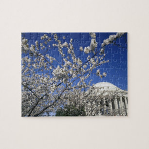 VS, Washington DC. Kersenbloesemfeest en 2 Legpuzzel