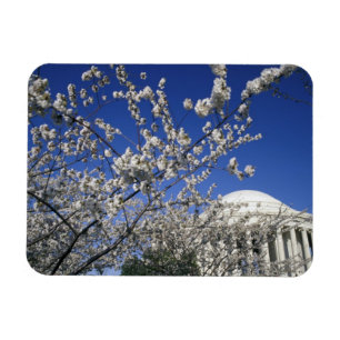 VS, Washington DC. Kersenbloesemfeest en 2 Magneet