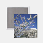VS, Washington DC. Kersenbloesemfeest en 2 Magneet (Voorkant / Achterkant)