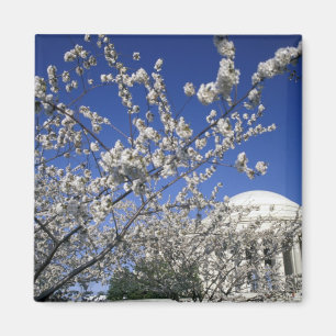 VS, Washington DC. Kersenbloesemfeest en 2 Magneet