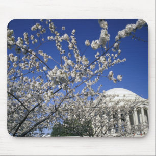 VS, Washington DC. Kersenbloesemfeest en 2 Muismat