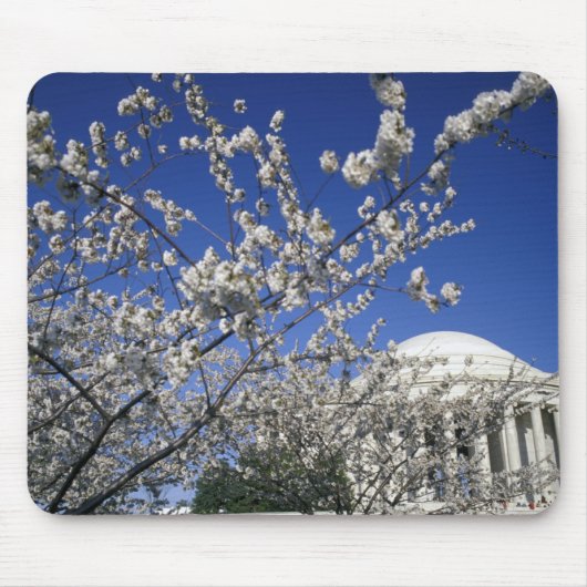 VS, Washington DC. Kersenbloesemfeest en 2 Muismat (Voorkant)