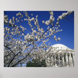 VS, Washington DC. Kersenbloesemfeest en 2 Poster