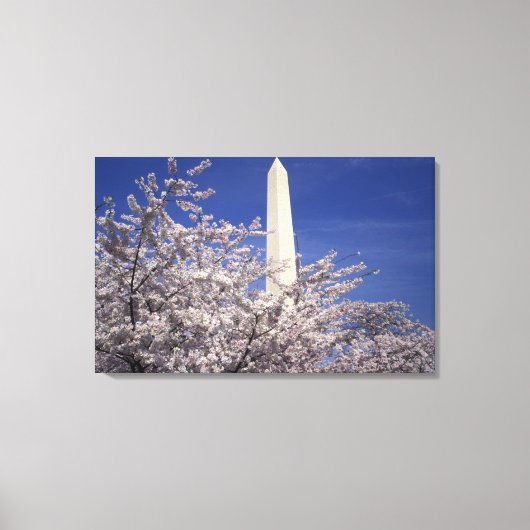 VS, Washington DC. Kersenbloesemfeest en Canvas Afdruk (Voorkant)