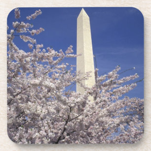 VS, Washington DC. Kersenbloesemfeest en Drankjes Onderzetter