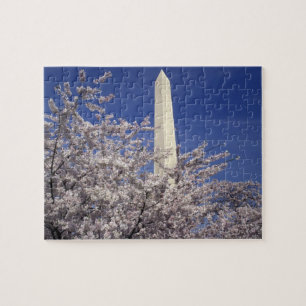 VS, Washington DC. Kersenbloesemfeest en Legpuzzel