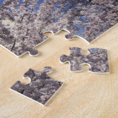 VS, Washington DC. Kersenbloesemfeest en Legpuzzel (Zijkant)