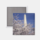 VS, Washington DC. Kersenbloesemfeest en Magneet (Voorkant / Achterkant)