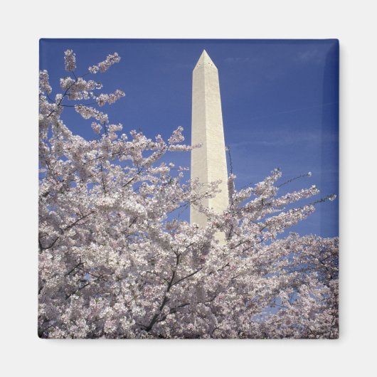 VS, Washington DC. Kersenbloesemfeest en Magneet (Voorkant)