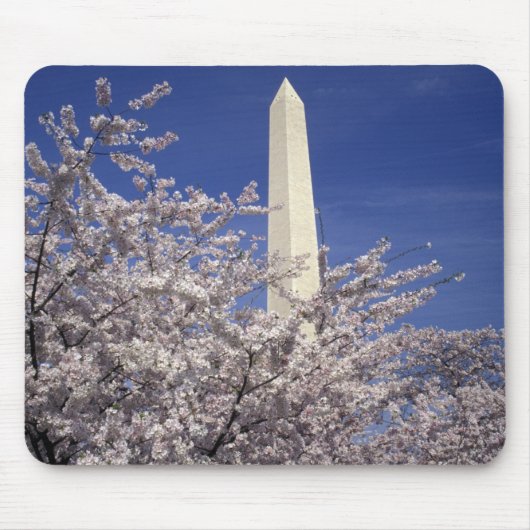 VS, Washington DC. Kersenbloesemfeest en Muismat (Voorkant)