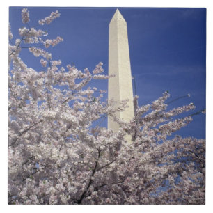 VS, Washington DC. Kersenbloesemfeest en Tegeltje