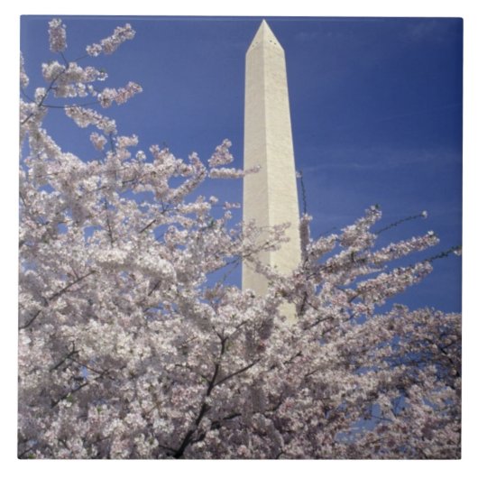 VS, Washington DC. Kersenbloesemfeest en Tegeltje (Voorkant)