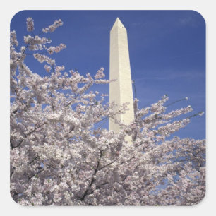 VS, Washington DC. Kersenbloesemfeest en Vierkante Sticker