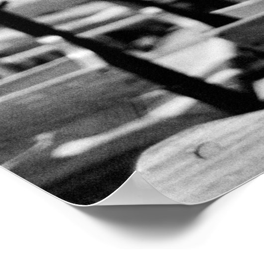 VS, Washington DC. Nationale kerkhokken Poster (Hoek)