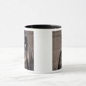 VS, Washington DC. Thomas Jefferson Memorial. Mok (Midden)