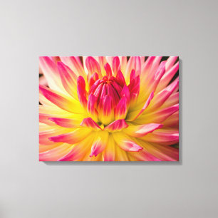VS, Washington. Detail van dahlia bloem Canvas Afdruk