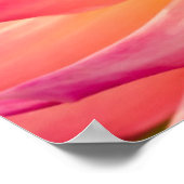 VS, Washington. Detail van dahlia bloem Poster (Hoek)