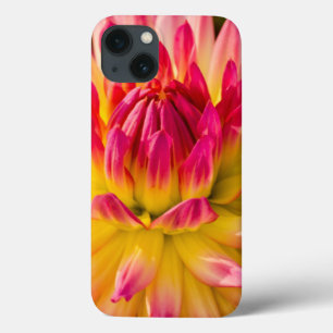 VS, Washington. Detail van Dahlia Flower iPhone 13 Hoesje