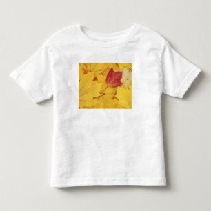 VS, Washington, Finch Arboretum, Rood en Kinder Shirts